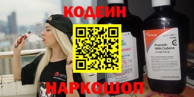 мдпв Камень-на-Оби