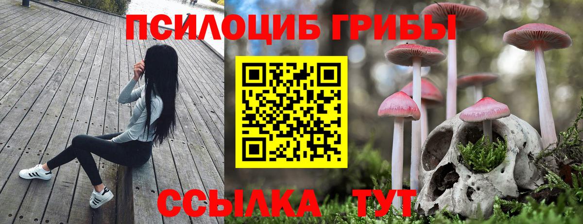 Куйбышев  Псилоцибиновые грибы Psilocybe  Вход с VPN 
