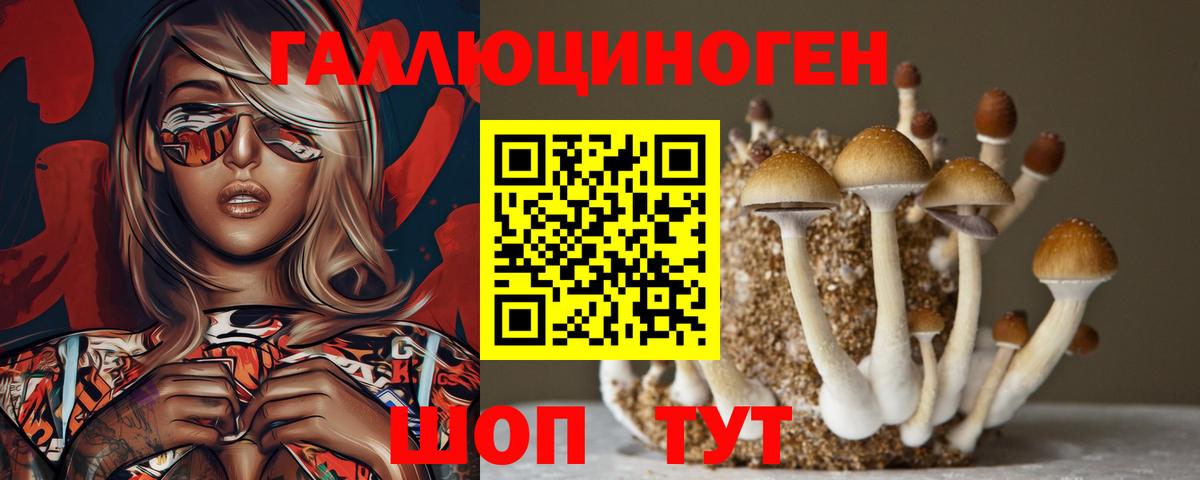 Галлюциногенные грибы мухоморы Куйбышев